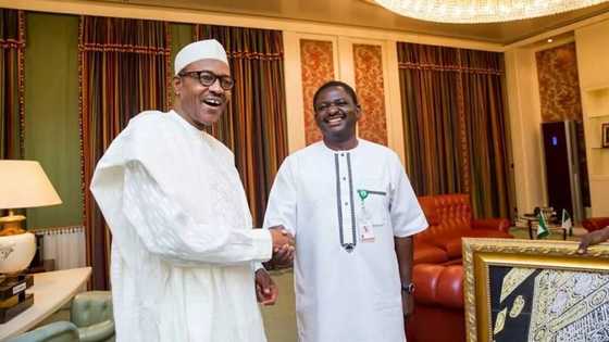 Adesina knocks Buhari’s critics, says only the blind won’t see the good things happening under current administration