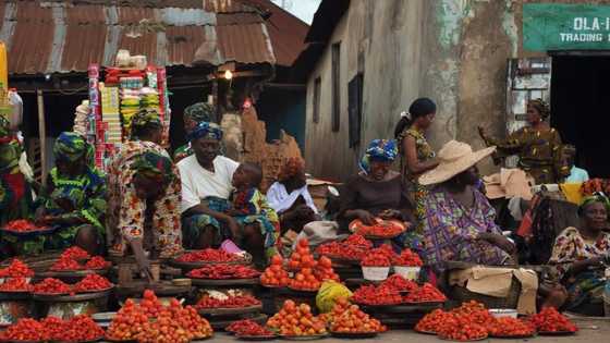 Lagos, Kwara on list of states with highest, lowest food inflation rate in Nigeria