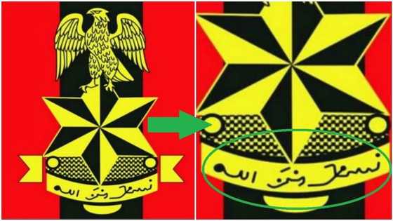 The REAL meaning of the Nigerian army logo revealed (photos)