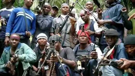 Monthly salary? Niger Delta Avengers agree to dialogue with Buhari