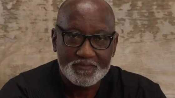 JUST IN: PDP finally gets a candidate to battle against APGA’s Willie Obiano in Anambra governorship election