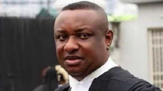 2019: Dalilai 5 da suka sa nake yiwa Buhari yakin neman zabe - Babban lauya Keyamo