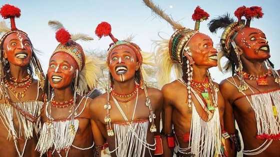 History of Fulani tribe: interesting facts to know