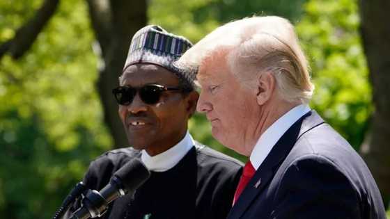 Babu yarjejeniyar da nayi da Donald Trump, tattaunawa kawai muka yi - Buhari
