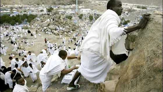 Saudi Arabia receives 1.7m pilgrims for 2017 Hajj