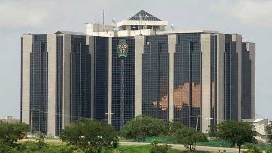 CBN insists Crypto trading is illegal transactions, asks court to freeze accounts of fintech firms