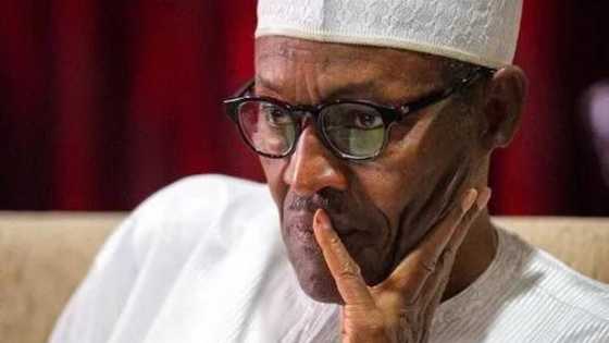 Aukuwar wata Annoba a Arewa ta girgiza Shugaba Buhari