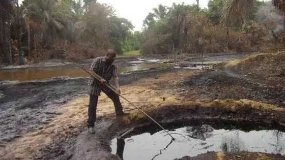 Shell agrees to pay €15m settlement for oil spills in Niger Delta