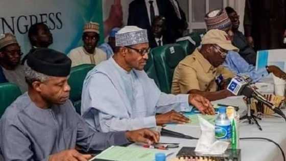 Yan takara 3 sun ki amincewa da zaben fidda gwanin yan majalisar wakilai na APC a garin Buhari