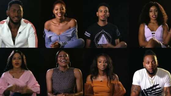 Two housemates safe from eviction this week, others get set to be ‘sent’ out of the house