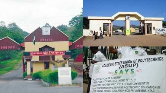 JUST IN: Polytechnic lecturers embark on nationwide warning strike