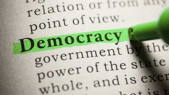 Democracy and its types in the world