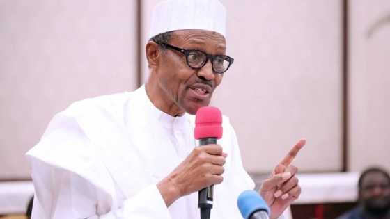 Calling Buhari names won't solve herdsmen killings - Onah
