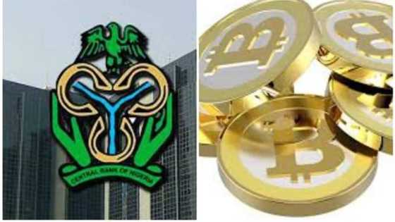 They are not legal tenders in Nigeria - CBN bans bitcoin, onecoin, others