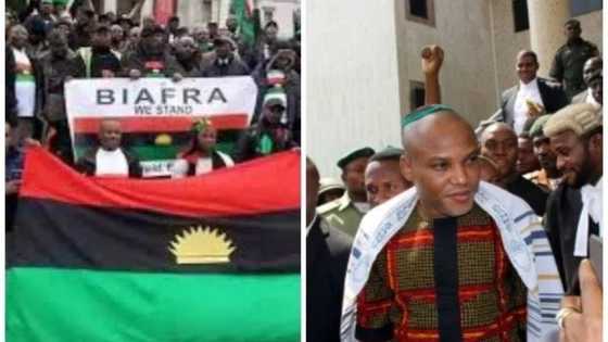 JUST IN: IPOB releases new constituted organogram for Biafra (photo)