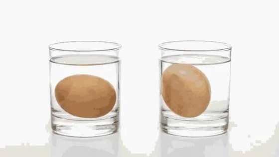 Taba-ka-lashe:Yadda ake gane kwai maras kyau cikin sauki