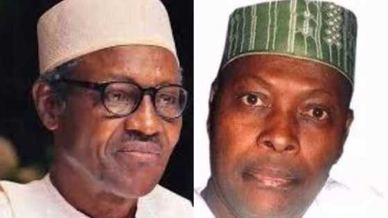 How cabal rented crowd that welcomed Buhari from London - Junaid Mohammed