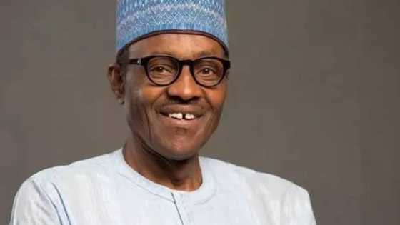 7 reasons Nigerians should not blame President Buhari for current economic woes