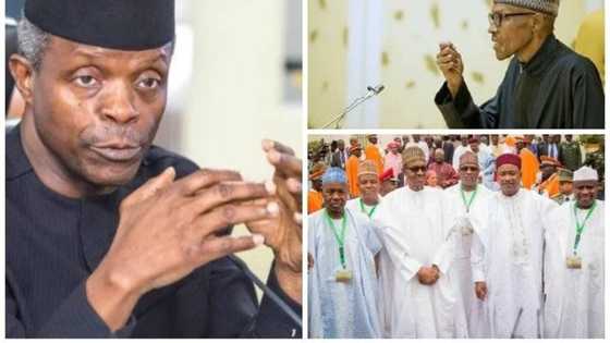 “If Osinbajo cannot be acting president, then let Nigeria break-up”