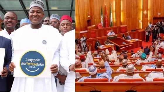 Zaben 2019: Jerin sunayen jihohi 25 da suka amince da canza dokar shekarun yin takara