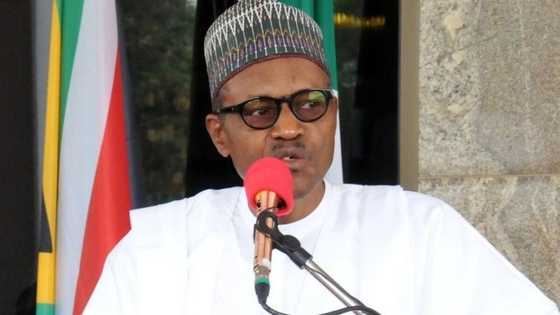 Buhari zai ci koda kuwa babu nPDP - Sanata Abu Ibrahim