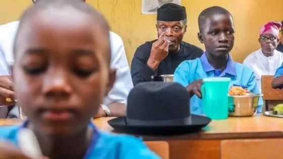 School feeding programme: Over 8.2 million pupils now being fed in 24 states