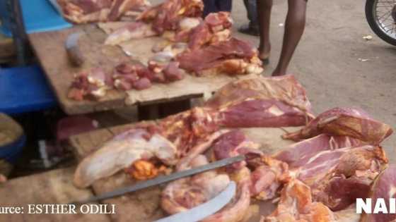 Hattara jama'a: Gwamnati ta gano bullar nama mai guba a arewacin Najeriya