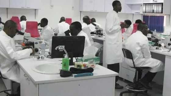 Kwararru ýan Najeriya sun ƙirkiro maganin warkar da cutar farfaɗiya