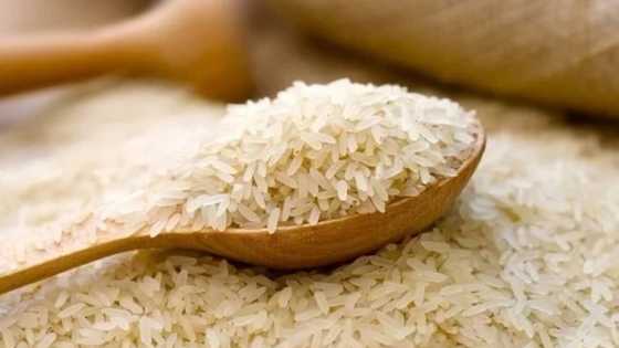 8 foods every good Nigerian wife should have in her kitchen