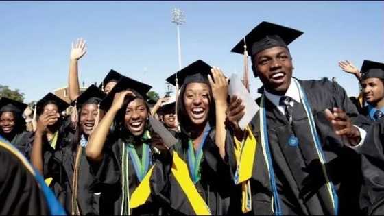 List of universities offering Nutrition and Dietetics in Nigeria