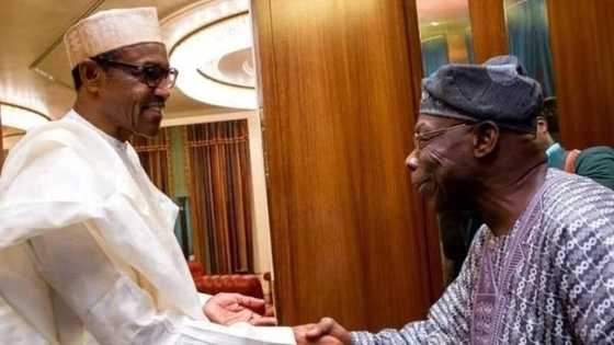 Buhari ba zaiyi cacar-baki da Obasanjo ba saboda yana gaba dashi a aikin soja - Femi Adesina