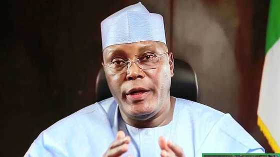 Peter Obi ba zai kai labari ba a 2023, kaso 90% na yan arewa basu Soshiyal Midiya, Atiku ya magantu