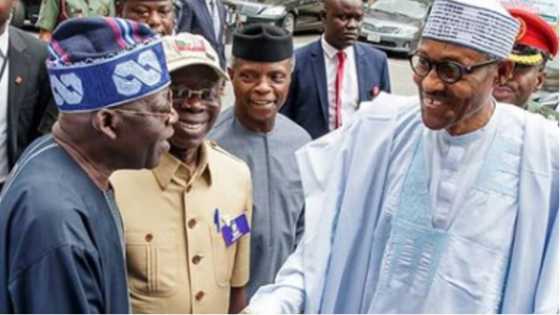 "I can't defend lies," top politician dumps APC, Tinubu