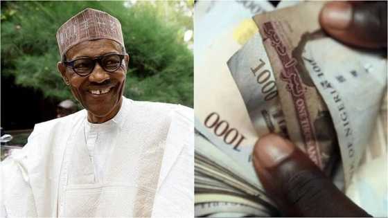 Gwamnatin Buhari ta raba ma gajiyayyu 3,487 naira dubu biyar biyar a Kaugama