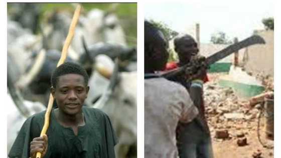 Analyst mentions those benefitting from Southern Kaduna killing