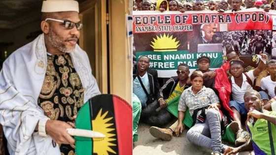 Restoration of Biafra is not negotiable - Nnamdi Kanu