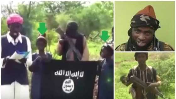 Where is Buhari now, he is boasting that he’ll clear us - Boko Haram mocks government in new video