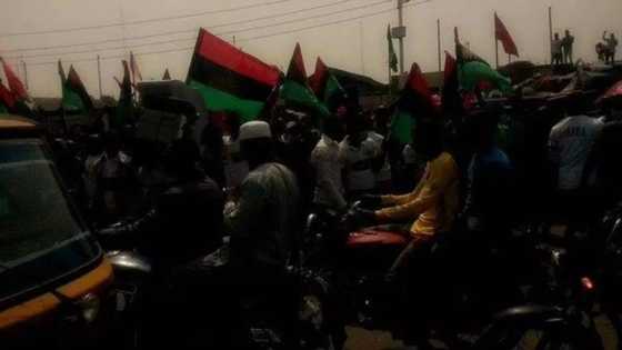 Abia mass grave: DSS instigating ethnic violence - IPOB