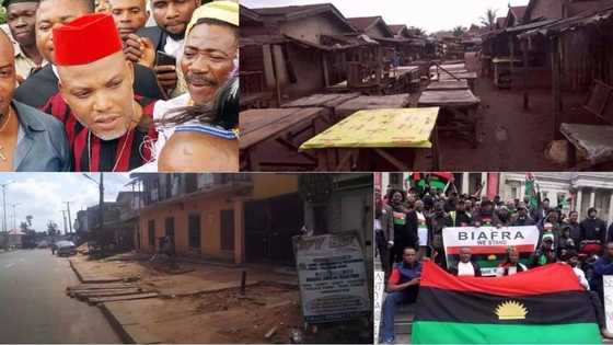 EXCLUSIVE: Nnamdi Kanu reveals why he adopted sit-at-home for Biafra remembrance day