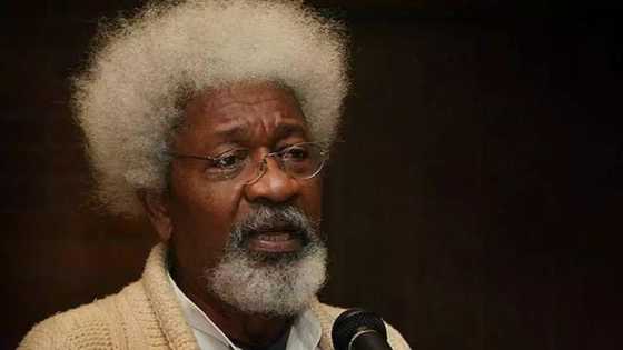 OAU vice chancellorship: Ife indigenes must be crazy, Wole Soyinka rants