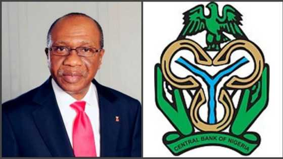 Mun rabawa matasan Najeriya 7,057 tallafin N3bn ta shirin NYIF, CBN