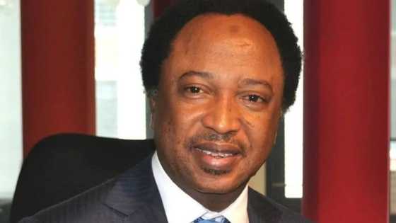 Mutane 5 da suka hana ni ficewa daga jam'iyyar APC - Shehu Sani