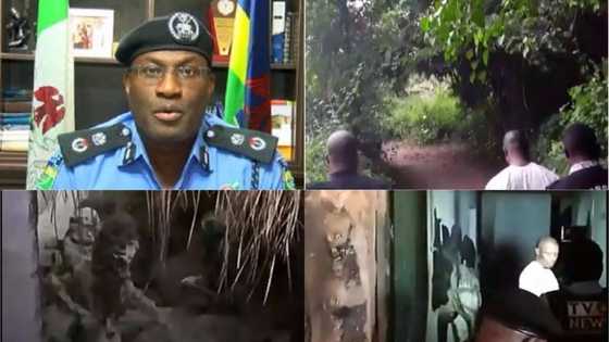 Badoo group in trouble as police uncovers shrine in Ikorodu