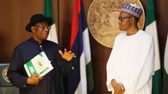 Strip looters off their national honours, ex-Nigerian President tells Buhari