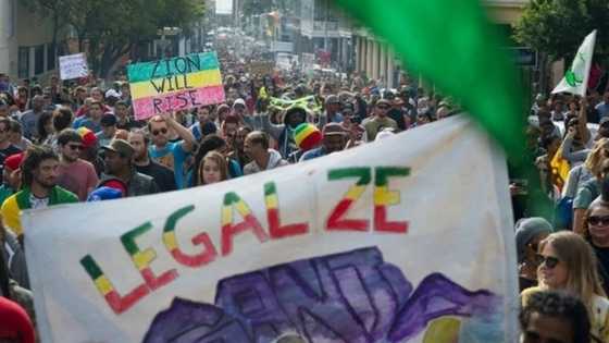 Gwamnatin wata kasa a nahiyar Afirka ta halasta amfani da tabar wiwi