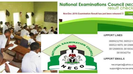 Here are 6 EASY steps on how to check your Nov/Dec 2016 NECO result