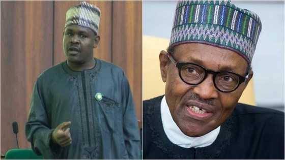 Babu wanda ya isa ya tsige Buhari matukar ina raye – Dan Majalisa Gudaji Kazaure