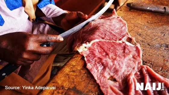 Mahauta 95 sun kamu da cutar Brucellosis a Bauchi