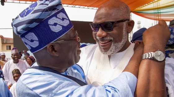 2023 presidential election: APC's governor Akeredolu reveals secret behind Tinubu's victory