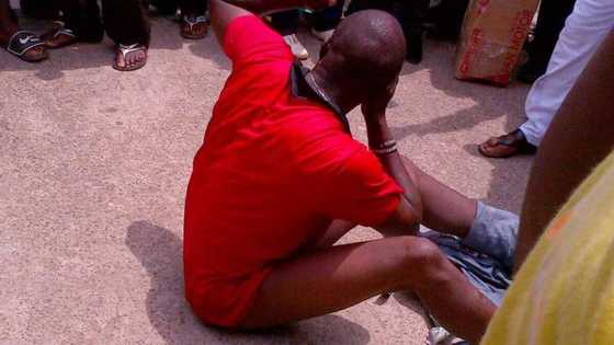 Jungle justice: See what was done to these thieves (photos)